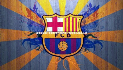 澳客足彩网-南非杯赛终极对决，冠军组队角逐风采