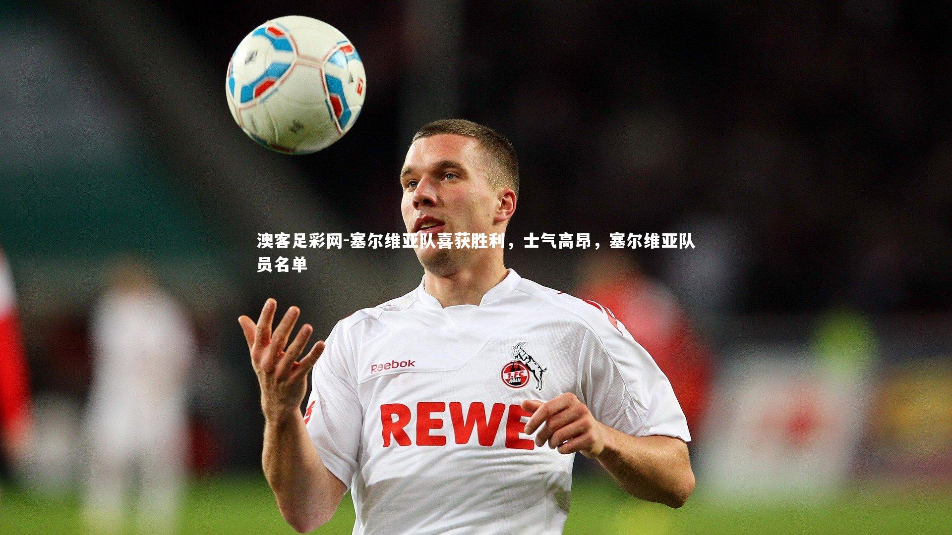 塞尔维亚队喜获胜利，士气高昂，塞尔维亚队员名单