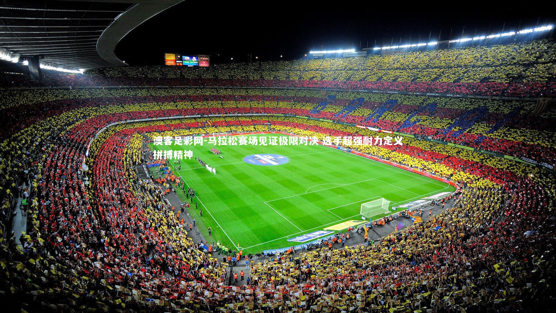 马拉松赛场见证极限对决 选手超强耐力定义拼搏精神